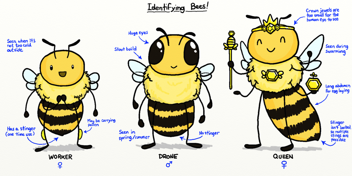 animated worker bees